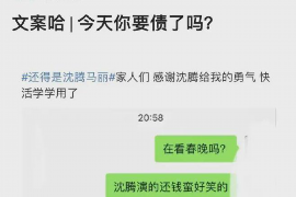 安龙如何避免债务纠纷？专业追讨公司教您应对之策